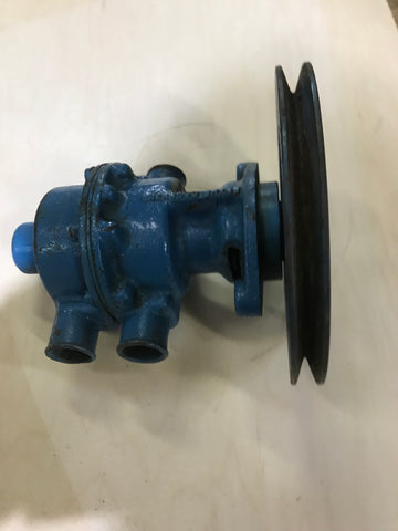 Sherwood N10390G duel pocket water pump